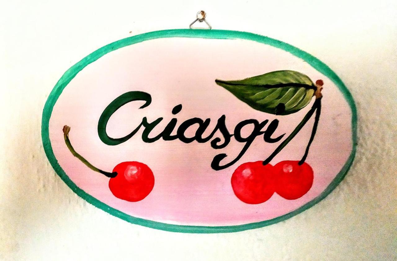 Gallura Experiences Li Criasgi Aggius ภายนอก รูปภาพ